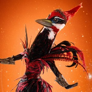 Avatar för The Masked Singer: Woodpecker