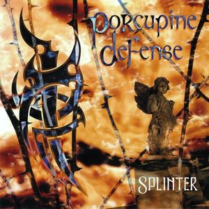 Splinter cover