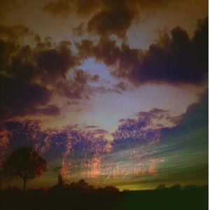 Forest Chill 的头像