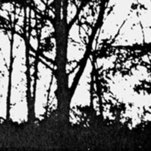 Sanctity of the Black