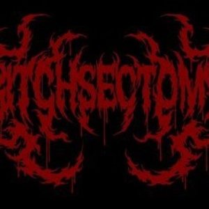 Bitchsectomy 的头像