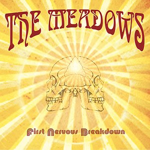 First Nervous Breakdown