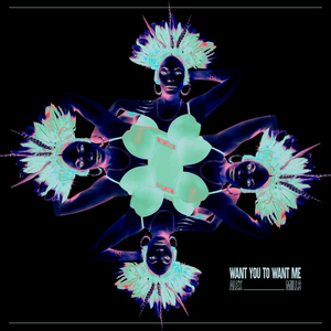 Alex Mills - Want You To Want Me - Single - Zortam Music