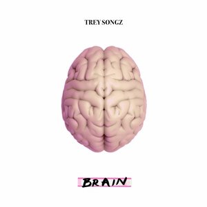 Brain - Single