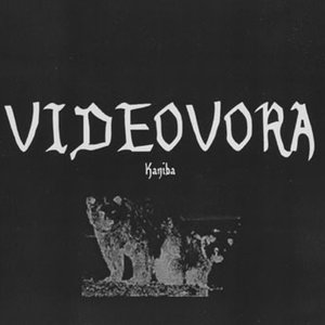 Videovora