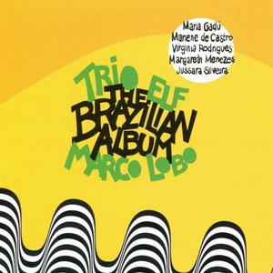 The Brazilian Album