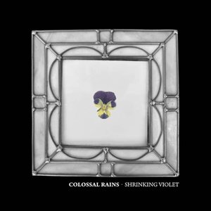 Shrinking Violet (Demo)
