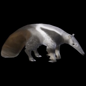 anteater clubhouse 的头像