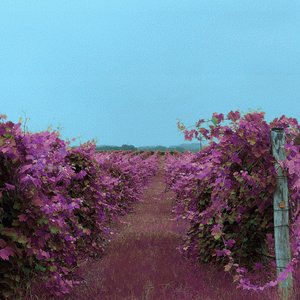 You're My Heart - Single