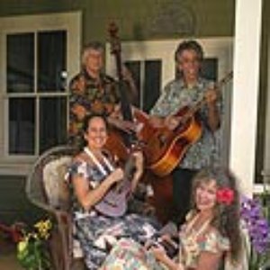 The Hula Honeys 的头像
