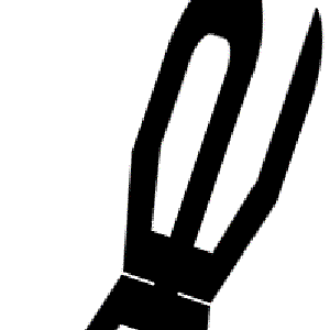 Avatar di Kaskaad