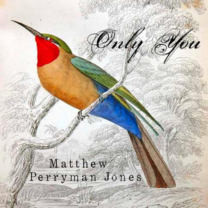 Matthew Perryman Jones - Only You - Zortam Music