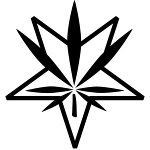 Asurah 的头像