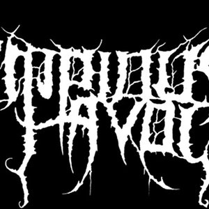 Impious Havoc のアバター