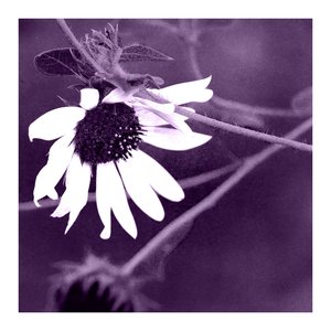 Part III / Part IV (Tape Remaster)