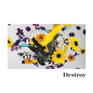 Destroy