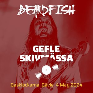 Live at Gefle Skivmässa 2024