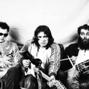 Pete Willson & the Rooks 的头像