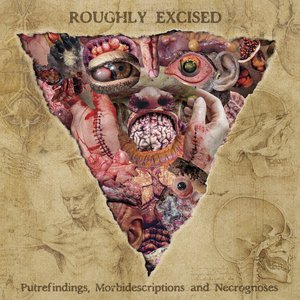 Roughly Excised - Putrefindings, Morbidescriptions and Necrognoses