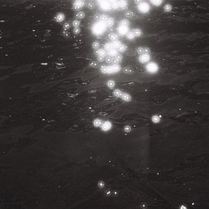 In Sight