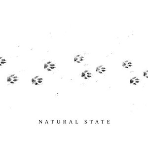 Natural State