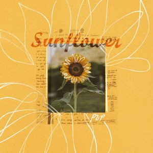 Sunflower - Single