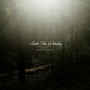 Into The Woods