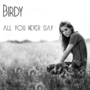 All You Never Say - Single