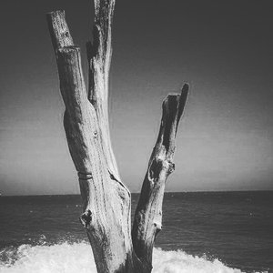 Beckon The Tides