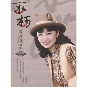 不朽 鳳飛飛傳奇 紀念專輯