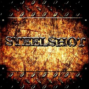 Steelshot