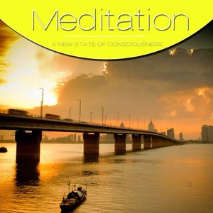 Meditation Vol. Yellow, Vol. 2