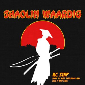 Shaolin Waardig