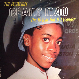 The Invincible Beany Man: The Ten Year Old D.J. Wonder cover