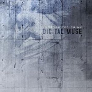 Image for 'Digital Muse'
