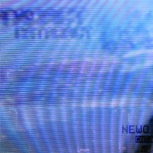 NeWo 的头像
