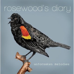 Unforsaken Melodies
