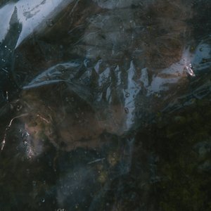 Hol A Tavasz Remixes