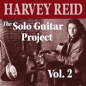 The Solo Guitar Project, Vol. 2