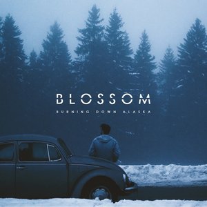 Blossom - Single