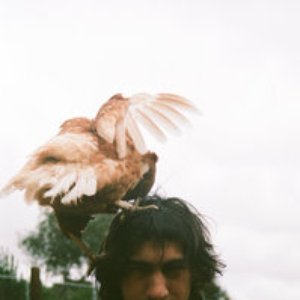 Avatar de Little Truck