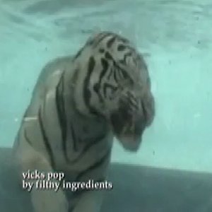 Filthy Ingredients のアバター