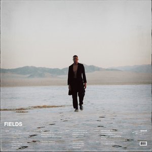 Fields - Single