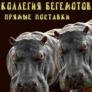 Прямые Поставки