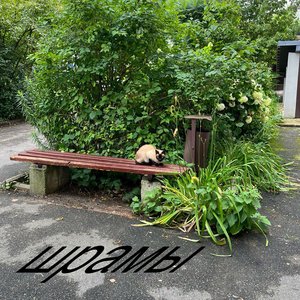 шрамы - Single