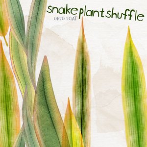 Snake Plant Shuffle