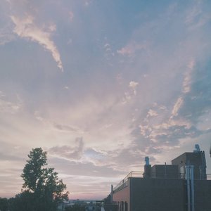 The Halo Effect