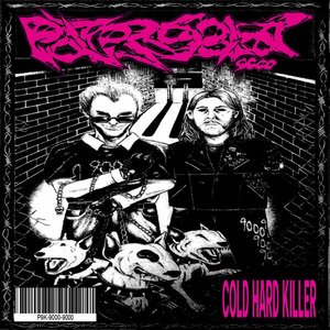 Cold Hard Killer