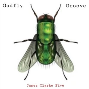 Gadfly Groove