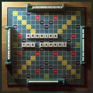 The Expert